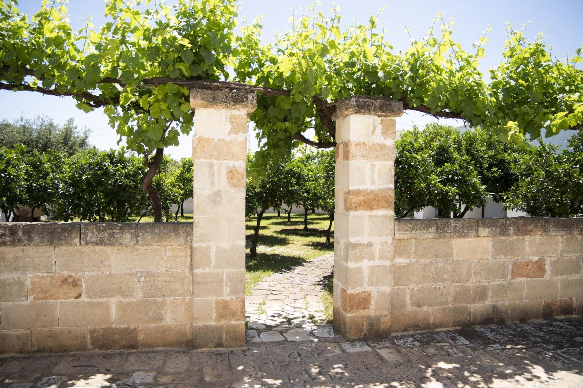 Masseria Palmo Francavilla Fontana Exterior foto